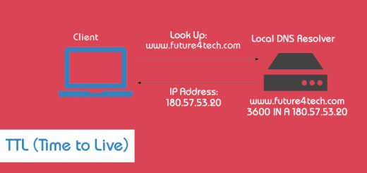 TTL (Time to Live)- future4tech